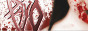 PAYO webzine